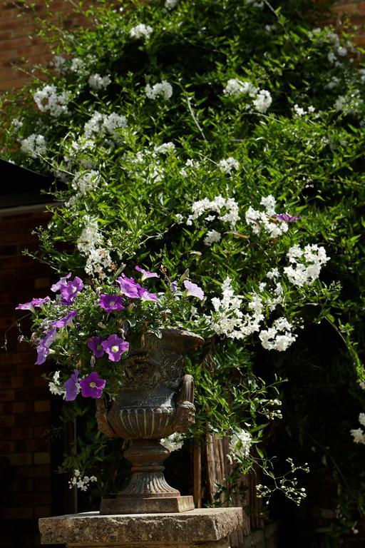Richmond Lane Guest House - Aa Accredited Romsey Esterno foto